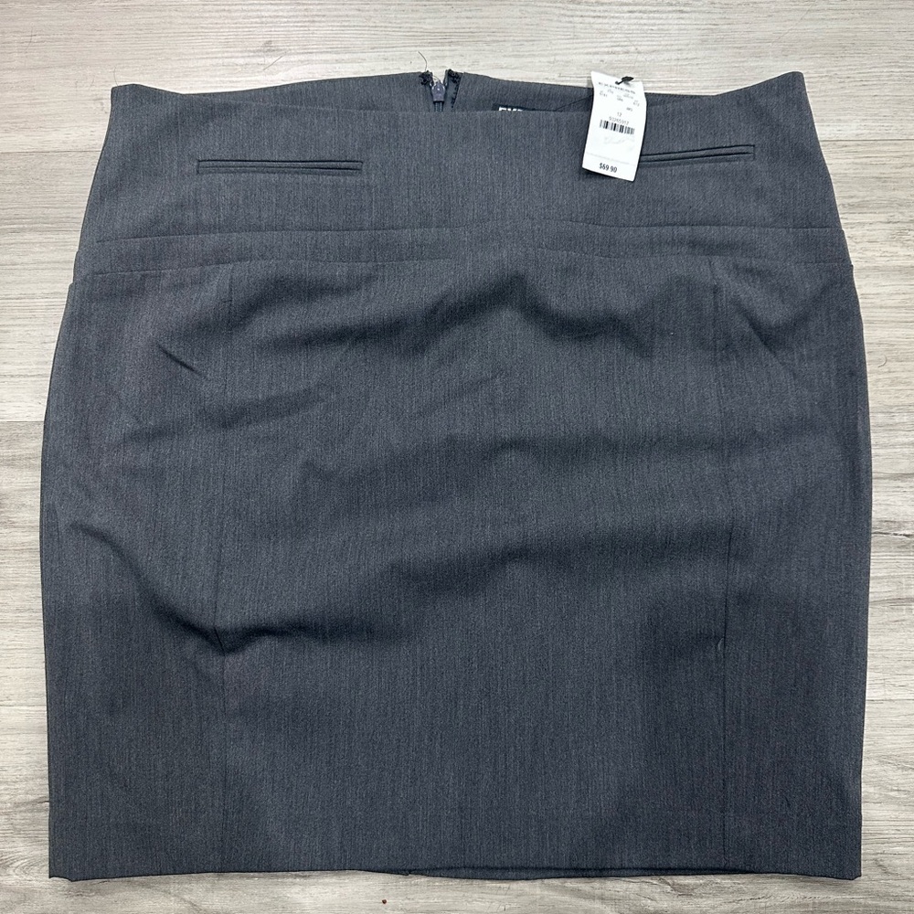 Express dress/business skirt